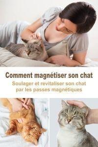 Comment magnétiser son Chat