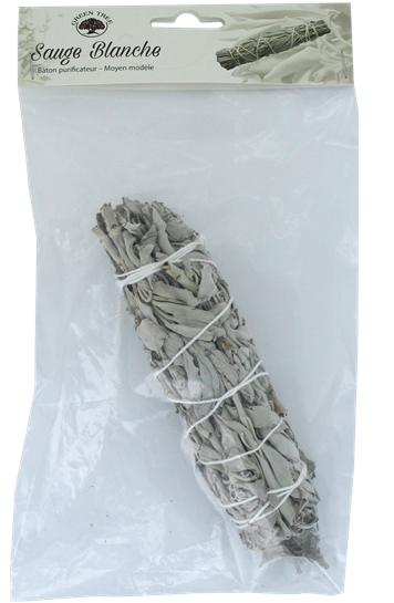 Sauge Blanche Fagot - Purificateur puissant.